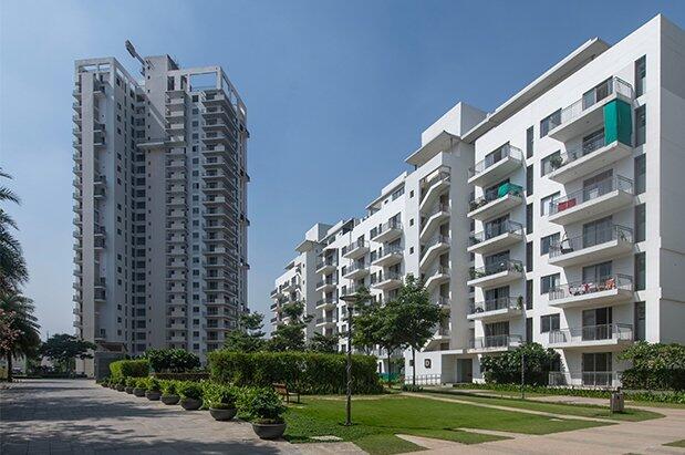 Vatika Sovereign Next